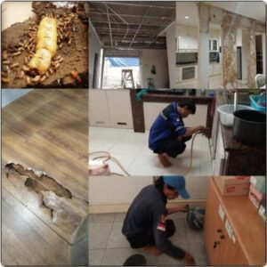 Suntrik Anti Rayap Rumah Tinggal