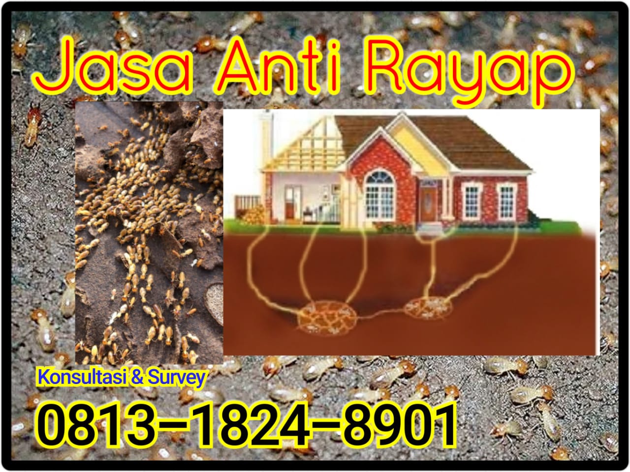 Jasa Anti Rayap Jasa Anti Rayap